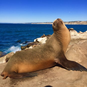 La Jolla Cove - Parks Near Me - La Jolla, California