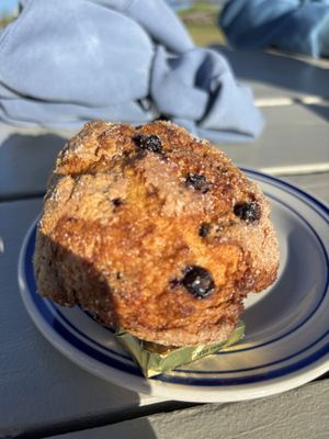 Dolphin Marina & Restaurant by null