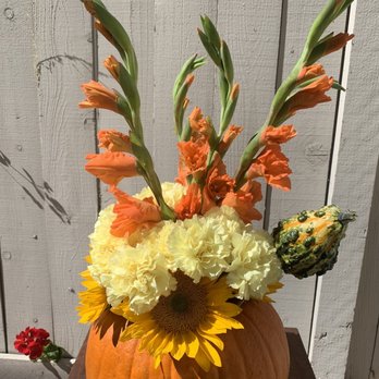 X_flowers - Flowers & Gifts Near Me X_flowers - Flowers & Gifts Near Me