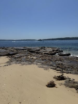 Bradleys Head Rd by null