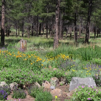 The Arboretum at Flagstaff - Parks Near Me - Flagstaff, Arizona