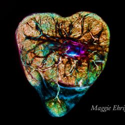 Magnificent Birth - One of a kind Placenta Art
