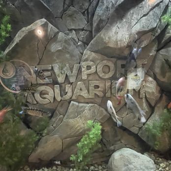 Newport Aquarium - Aquariums Near Me - Newport, Kentucky