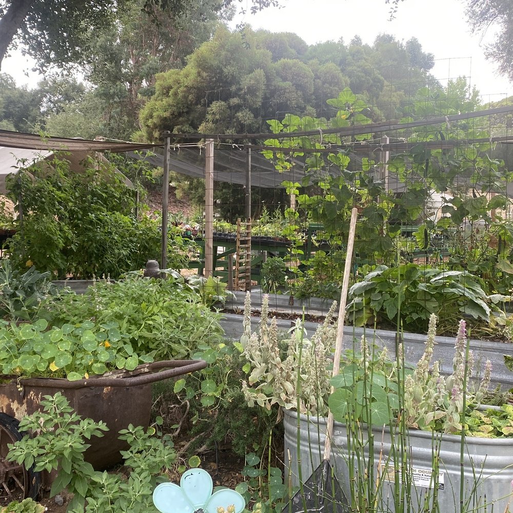 Diane's Herbs - Nurseries & Gardening Near Me - Fallbrook, California