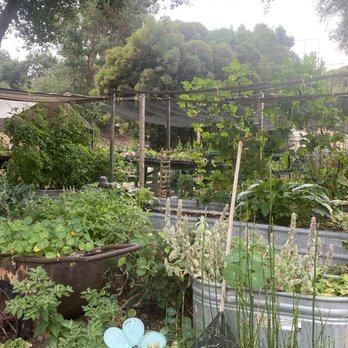 Diane's Herbs - Nurseries & Gardening Near Me - Fallbrook, California
