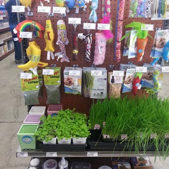 Pet Food Express - all things Catnip and Cat grass - Pet Stores Near Me - Belmont, California Pet Food Express - all things Catnip and Cat grass - Pet Stores Near Me - Belmont, California