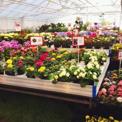 Oasen Hageland Lillestrøm - Et hav av blomster