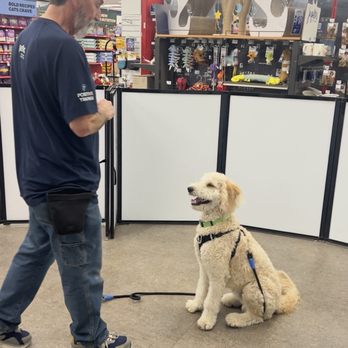Petco - Our trainer, Chuck, is training my puppy! - Pet Stores Near Me - Woodland Hills, California Petco - Our trainer, Chuck, is training my puppy! - Pet Stores Near Me - Woodland Hills, California