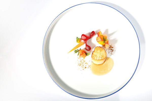 Ecco St. Moritz by null