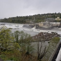 Willamette Falls Festival