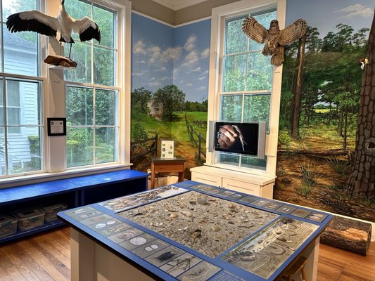 Coastal Discovery Museum by null