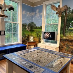 Coastal Discovery Museum
