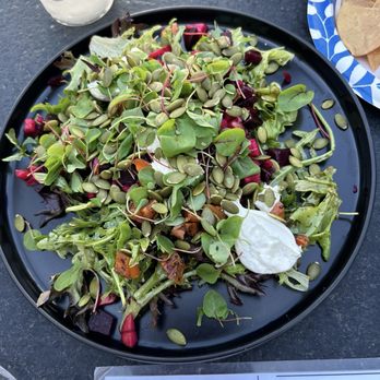 Diego's Food Truck - Heavenly Provenza Roasted Beet Salad - Tacos Near Me - McAllen, Texas Diego's Food Truck - Heavenly Provenza Roasted Beet Salad - Tacos Near Me - McAllen, Texas