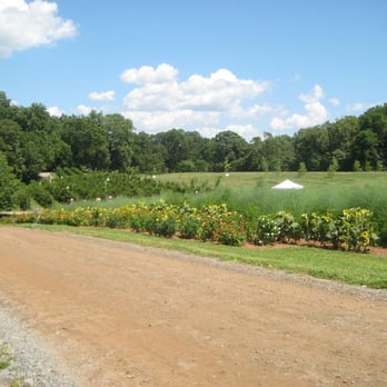 Tarara Winery - Wineries Near Me - Leesburg, Virginia
