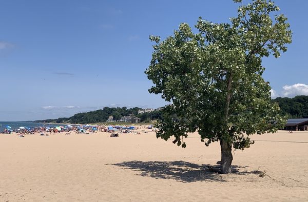 Holland State Park - Macatawa Campground by null
