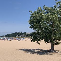 Holland State Park
