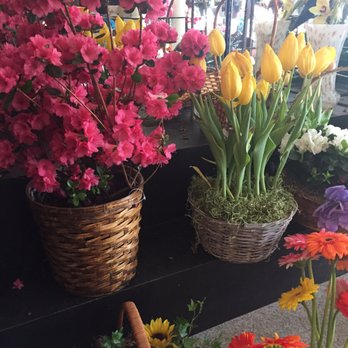 Flowers by Freyhammer - Nurseries & Gardening Near Me - Lynbrook, New York