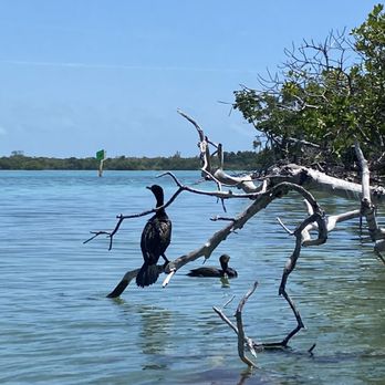 Blue Planet Kayak Eco-Tours - Rafting/Kayaking Near Me - Key West, Florida