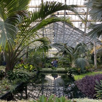 Garfield Park Conservatory - Parks Near Me - Chicago, Illinois