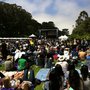 Photo of Alice's Summerthing