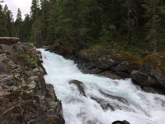 Ohanapecosh Campground by null