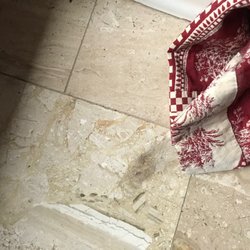 Apartmenthaus Saxonia - Haare am Wohnzimmervorhang