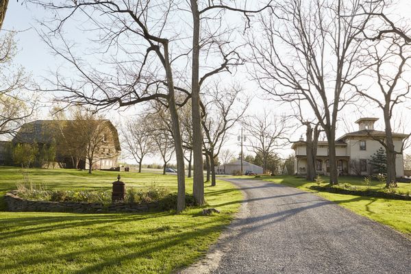 Hermann J. Wiemer Vineyard by null