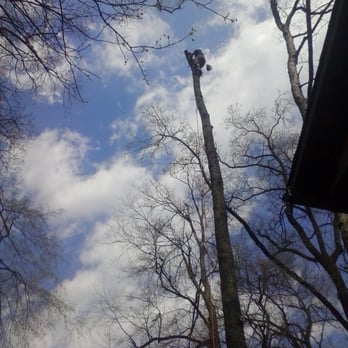 Eichelberger's Tree Service LLC - Tree Services Near Me Eichelberger's Tree Service LLC - Tree Services Near Me