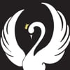 Swan Dancewear gift card