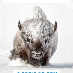 G2G Heating and Air Conditioning