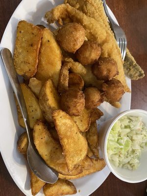 Darwin's Cafe by null