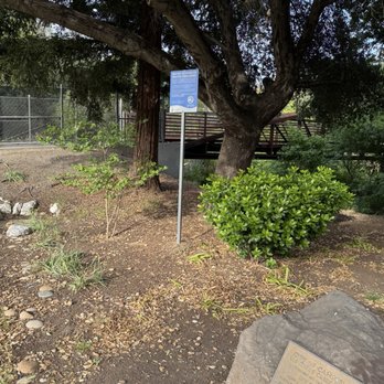 Campbell Park - Parks Near Me - Campbell, California