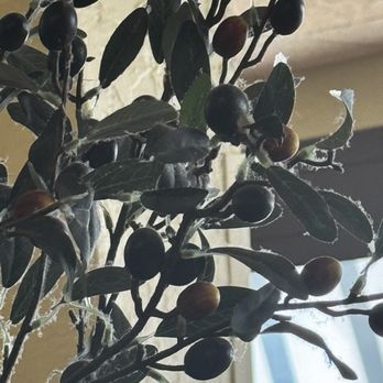 Olive Garden Italian Restaurant - Plant next to the table needs to be thrown out! - Italian Near Me - Brandon, Florida