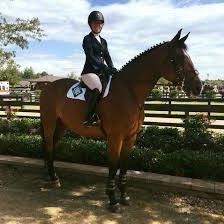 Bavin Gate Farm - equestrian in Quakertown, PA