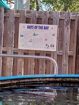 Alabama Aquarium at the Dauphin Island Sea Lab by null