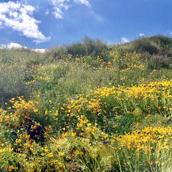 Walker Canyon Ecological Reserve - Wildlife Hunting Ranges Near Me