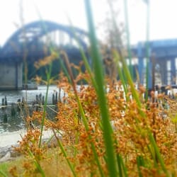 Siuslaw River Bridge Interpretive Center