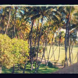 Maui Mel Massage And Wellness