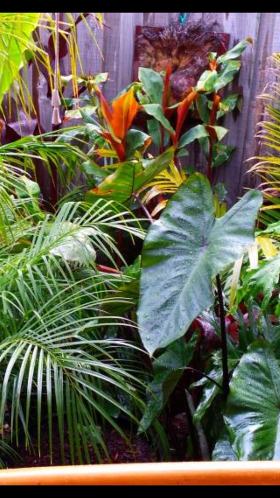 USPS VERO BEACH POST OFFICE Updated October 2024 12 Reviews 1551