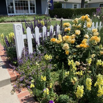Walter Fouts Landscaping - Sample of Walter's great work - Landscaping Near Me - Monrovia, California Walter Fouts Landscaping - Sample of Walter's great work - Landscaping Near Me - Monrovia, California