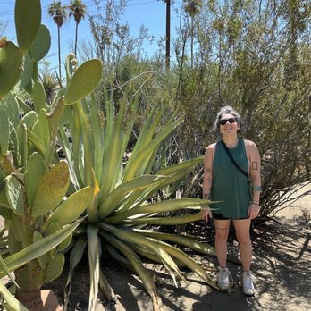 Moorten Botanical Garden - Nurseries & Gardening Near Me - Palm Springs, California Moorten Botanical Garden - Nurseries & Gardening Near Me - Palm Springs, California