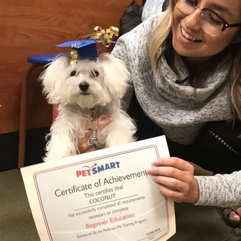 PetSmart - Pet Training Near Me - Huntington Beach, California