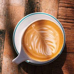 Bird Rock Coffee Roasters - La Jolla - Hello, best friend  #birdrockcoffeeroasters #empoweredbygreatcoffee