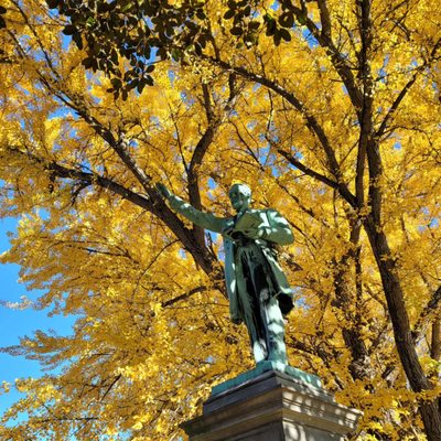 Grave of Colonel Harland Sanders by null