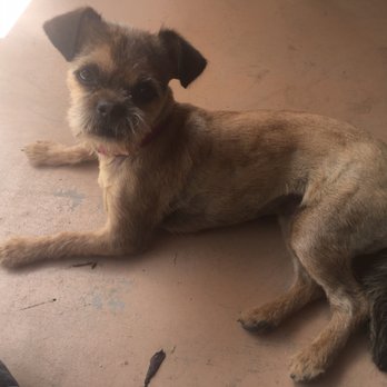 At-Home Kennels - Pet Groomers Near Me - Tucson, Arizona At-Home Kennels - Pet Groomers Near Me - Tucson, Arizona