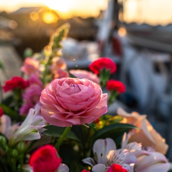 Petal & Kettle - Florists Near Me Petal & Kettle - Florists Near Me