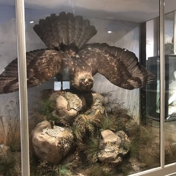 West Highland Museum - Museums Near Me - Fort William, HLD