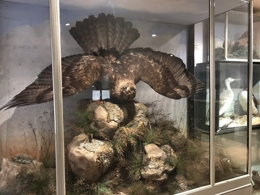 West Highland Museum by null