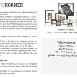 Yellow Korner