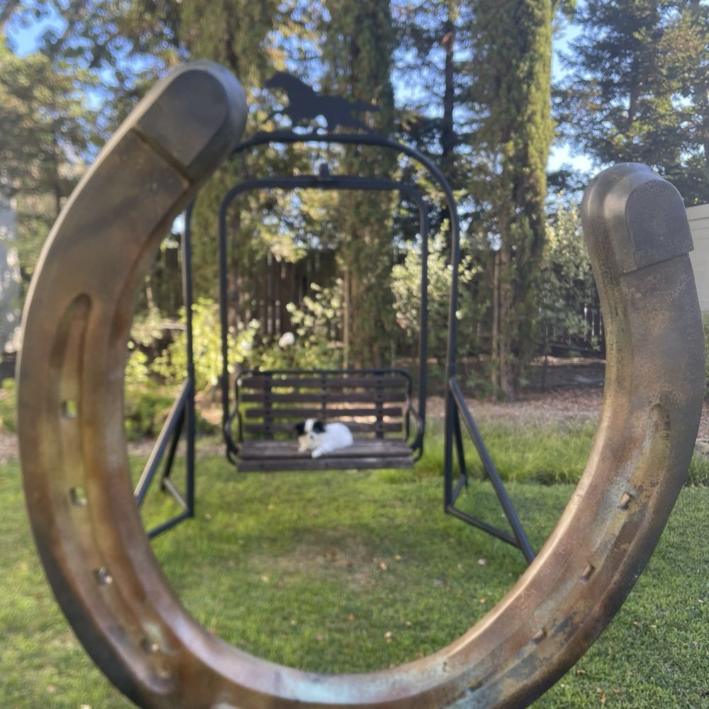 MacArthur Place Hotel & Spa - Lucky Suki on the swing. - Hotels Near Me - Sonoma, California MacArthur Place Hotel & Spa - Lucky Suki on the swing. - Hotels Near Me - Sonoma, California